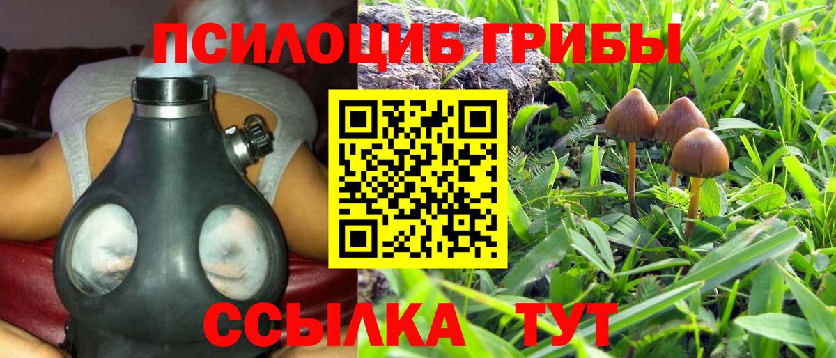 Галлюциногенные грибы Magic Shrooms Топки